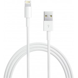Câble APPLE Lightning vers USB 2m (MD819ZM/A)