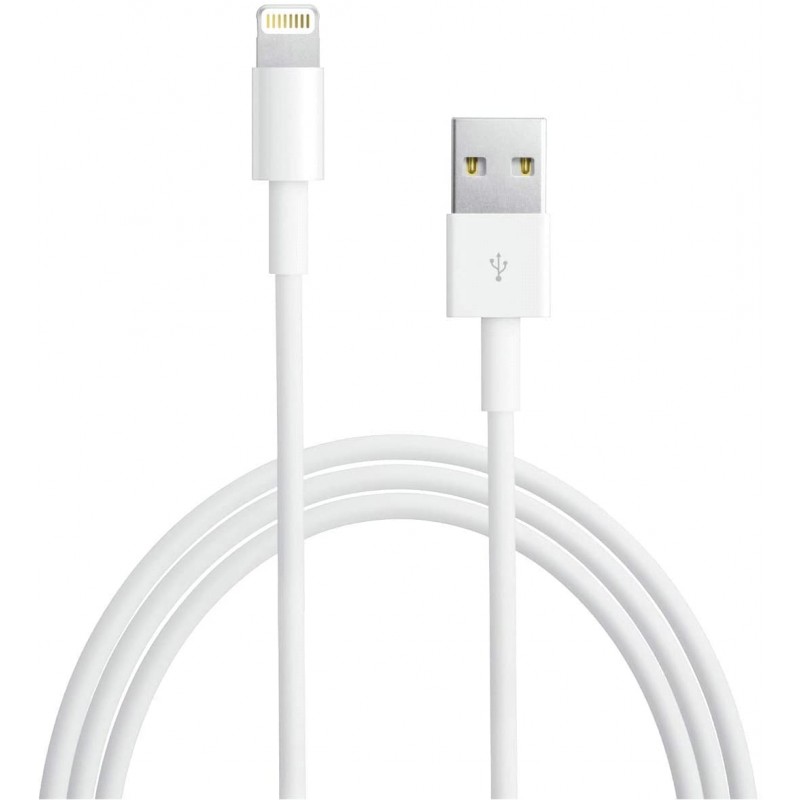 Câble APPLE Lightning vers USB 2m (MD819ZM/A)
