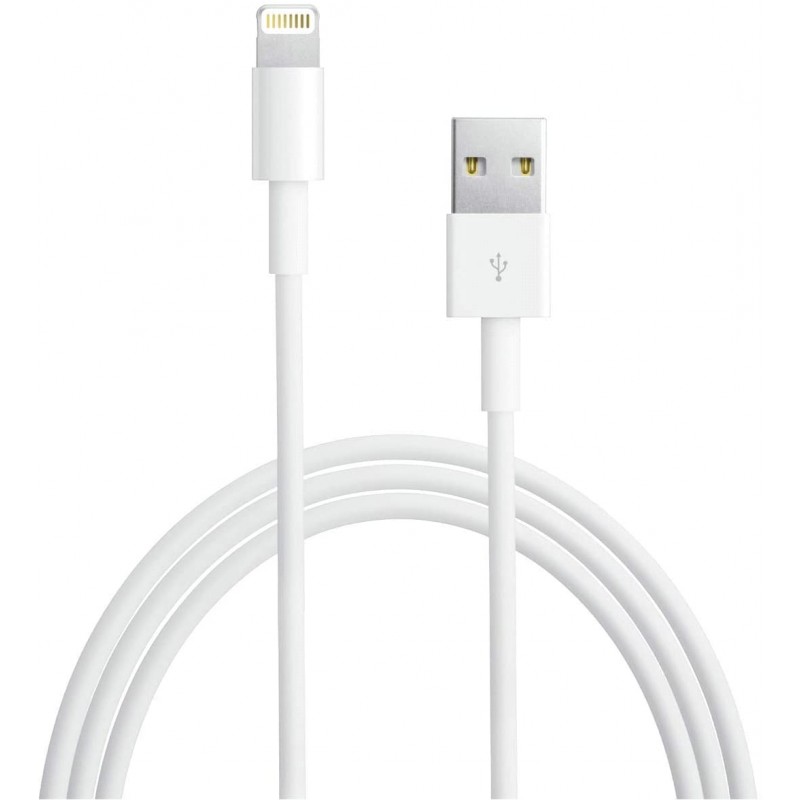 Apple Câble Lightning vers USB - 0.5 m - Accessoires Apple - Garantie 3 ans  LDLC