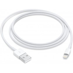 Câble APPLE Lightning vers USB 1m (MD818ZM/A)