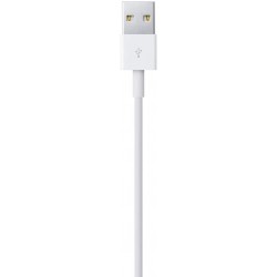 Câble téléphone portable Apple CABLE LIGHTNING VERS USB (MD818ZM/A) -  LIGHTNING